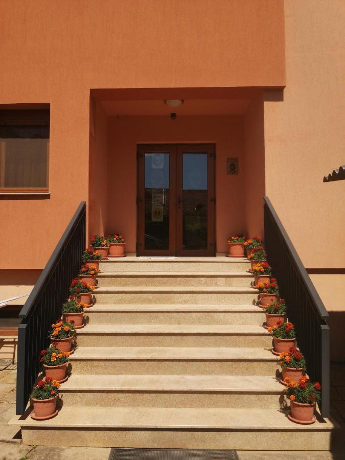 Pensiunea Damiris Băile Felix Exterior foto