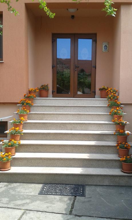 Pensiunea Damiris Băile Felix Exterior foto